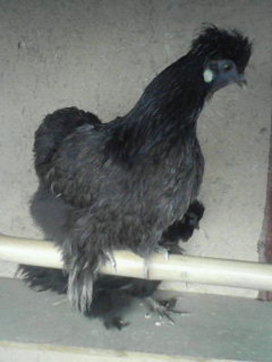 201008241627000_2