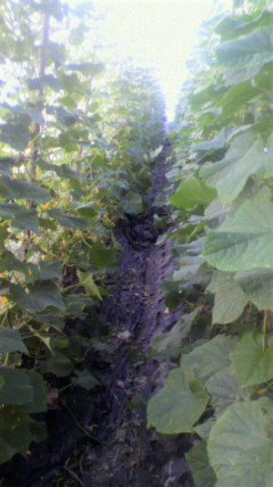 2010091607130000