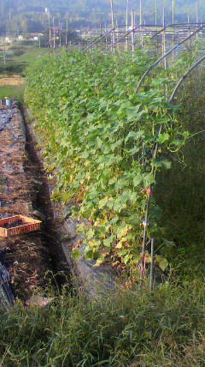 2010091607140000