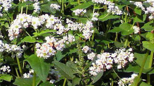 20100917084600001