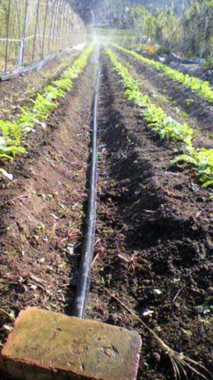 2010091815230000