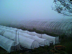 2010101606090001