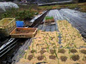 2010102514180000_3