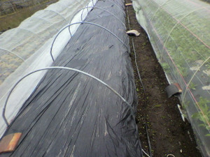 2010102814160000