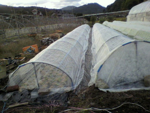 2010102916220000_3