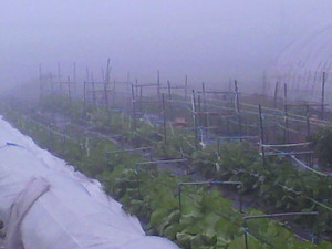 2010110306520000