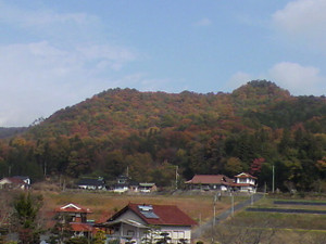 2010111412110000