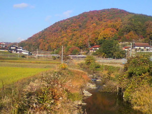 2010111809210000