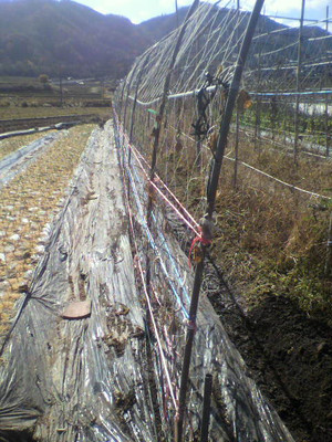 2010112411330000