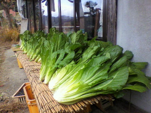 2010112810270000_2
