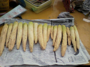 2010112810390000_2