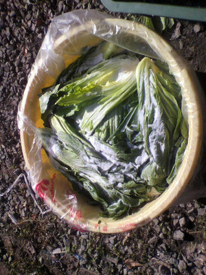 2010112913050000_2
