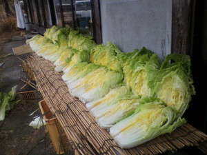 2010121410430000_2