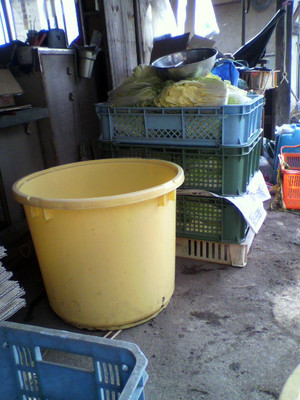 2010121611480000