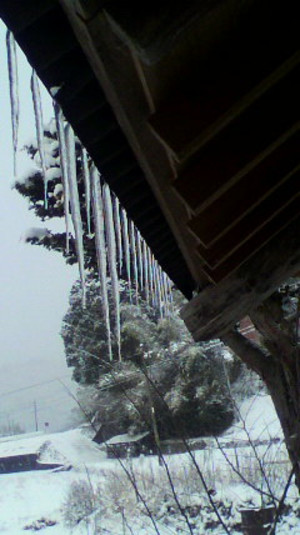 2010122607330000