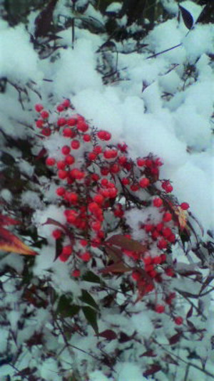 2010122607340000