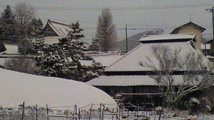 2010122607360000