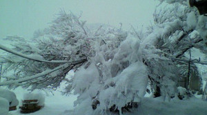 2010122707370000