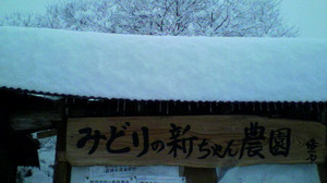 2010122707500000