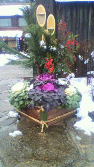 2010122813520000_2