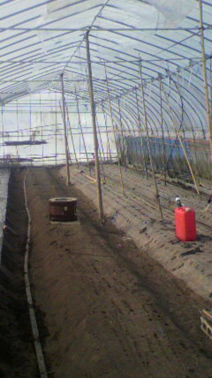 2010123014030000