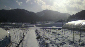 2010123014070000_2