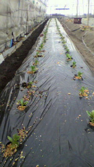 2010123113430000