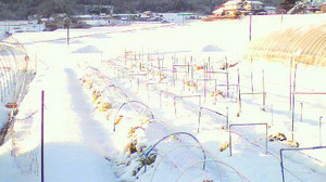 2011010408080000