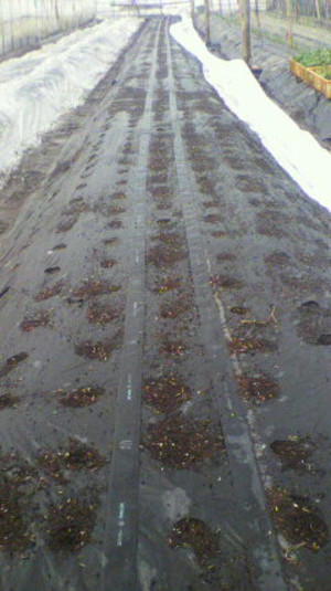2011010913150000