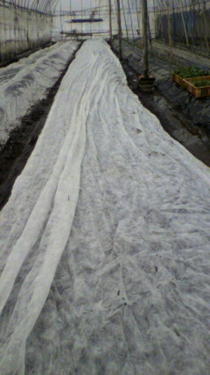 2011010913180000