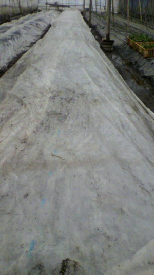 2011010913250000