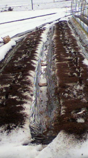 2011011114540000