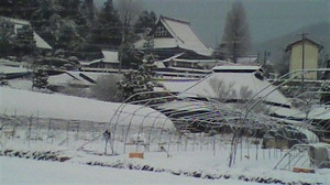 2011011207320000