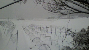 2011011607580000