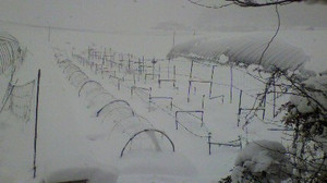 2011011612040000