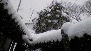 2011011612050000