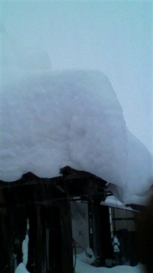 2011011707120000