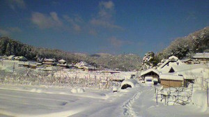 2011011709350000