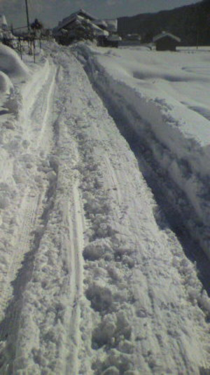 2011011711100001