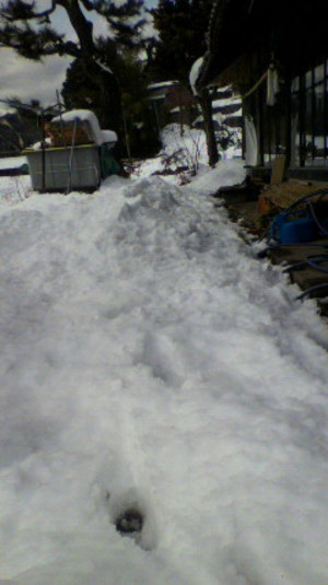 2011011812440000
