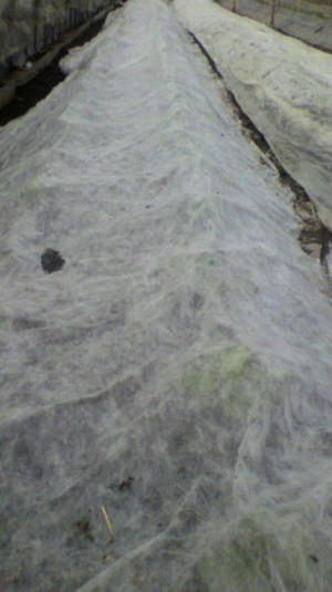 2011011911150000