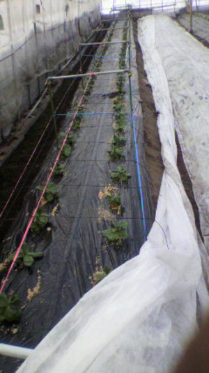 2011011913510000