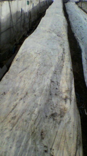 2011011914080000