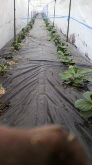 2011011914080001