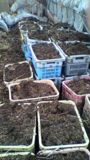 2011012111030000_2