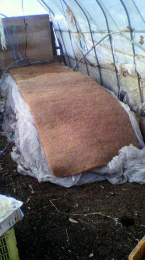 2011012116130000