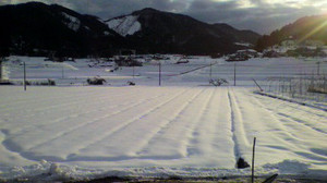 2011012116240000_2