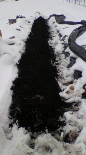 2011012313350000