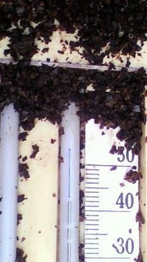 2011012509450000_3