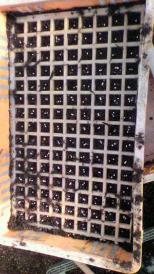 2011012510050000
